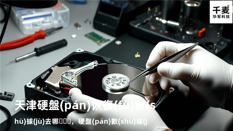 天津硬盤(pán)恢復(fù)數(shù)據(jù)去哪，硬盤(pán)數(shù)據(jù)恢復(fù)西安